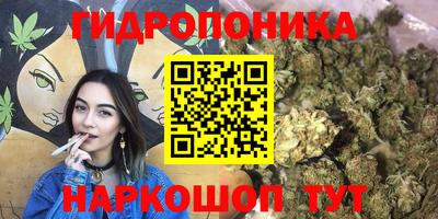 гидропоника Кулебаки
